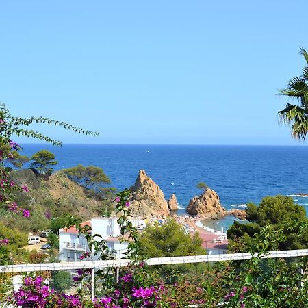 Blanca Paloma - Holiday House Tossa de Mar Quarto foto